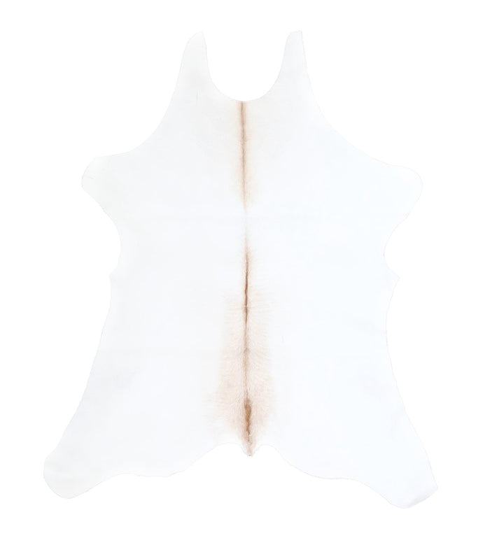 Calfhide Approx 2'x3' #A42553 by Hudson Hides