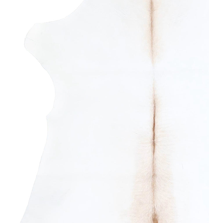 Calfhide Approx 2'x3' #A42553 by Hudson Hides