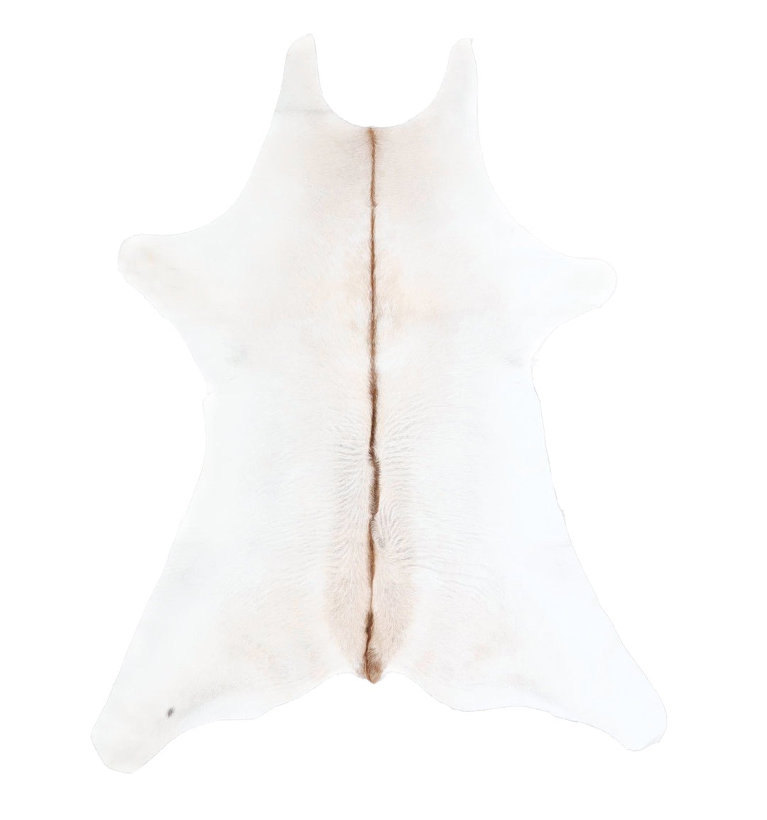 Calfhide Approx 2'x3' #A42559 by Hudson Hides
