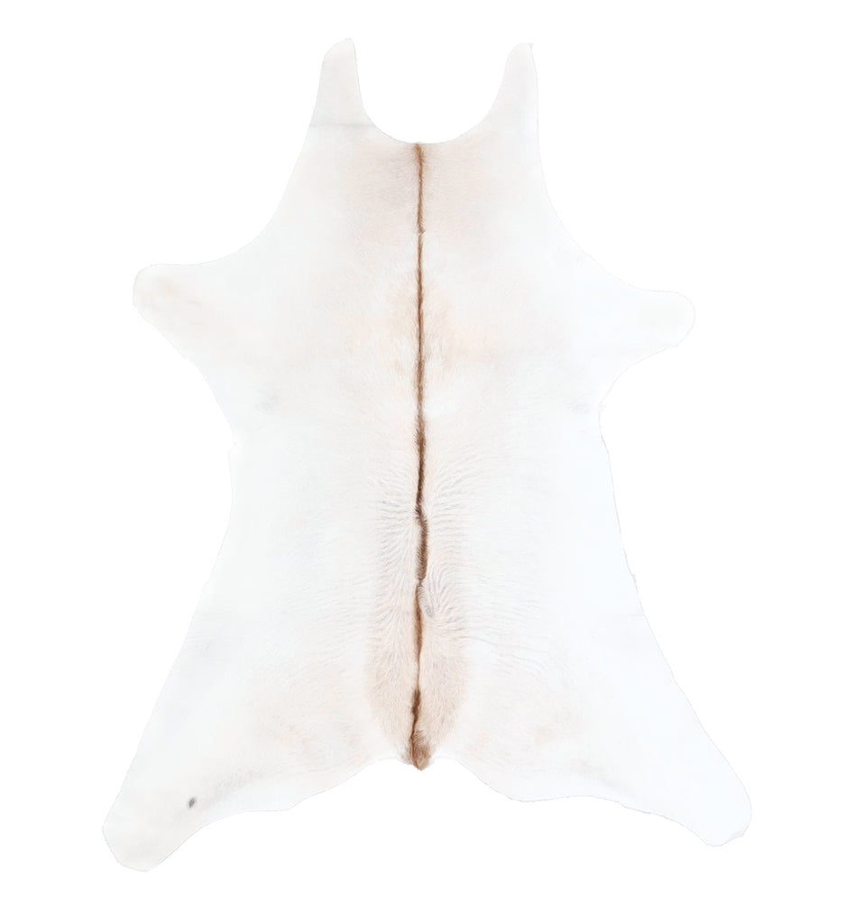 Calfhide Approx 2'x3' #A42559 by Hudson Hides