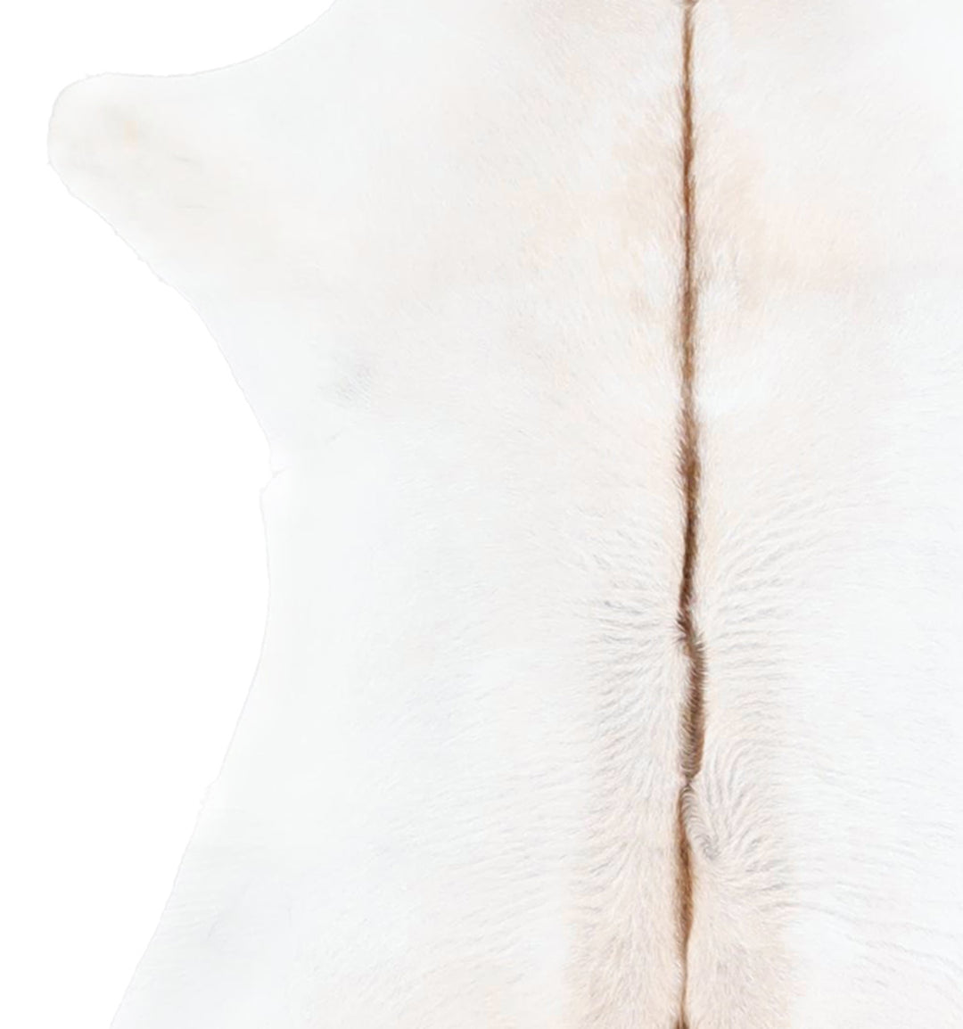 Calfhide Approx 2'x3' #A42559 by Hudson Hides