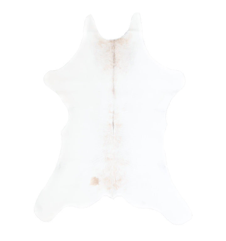 Calfhide Approx 2'x3' #A42560 by Hudson Hides