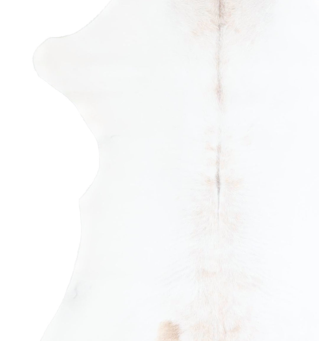 Calfhide Approx 2'x3' #A42560 by Hudson Hides