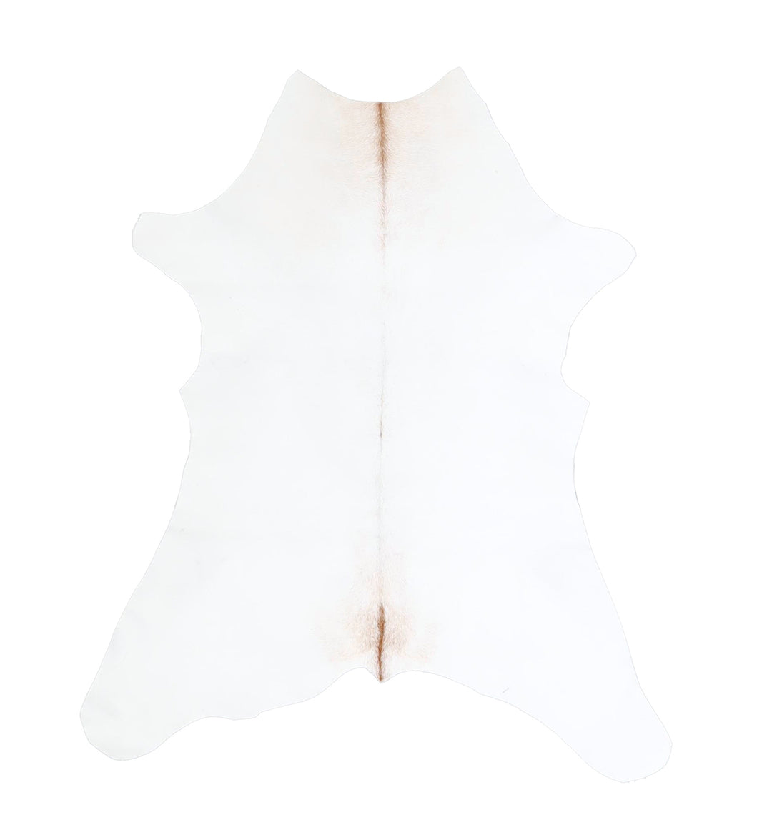 Calfhide Approx 2'x3' #A42561 by Hudson Hides