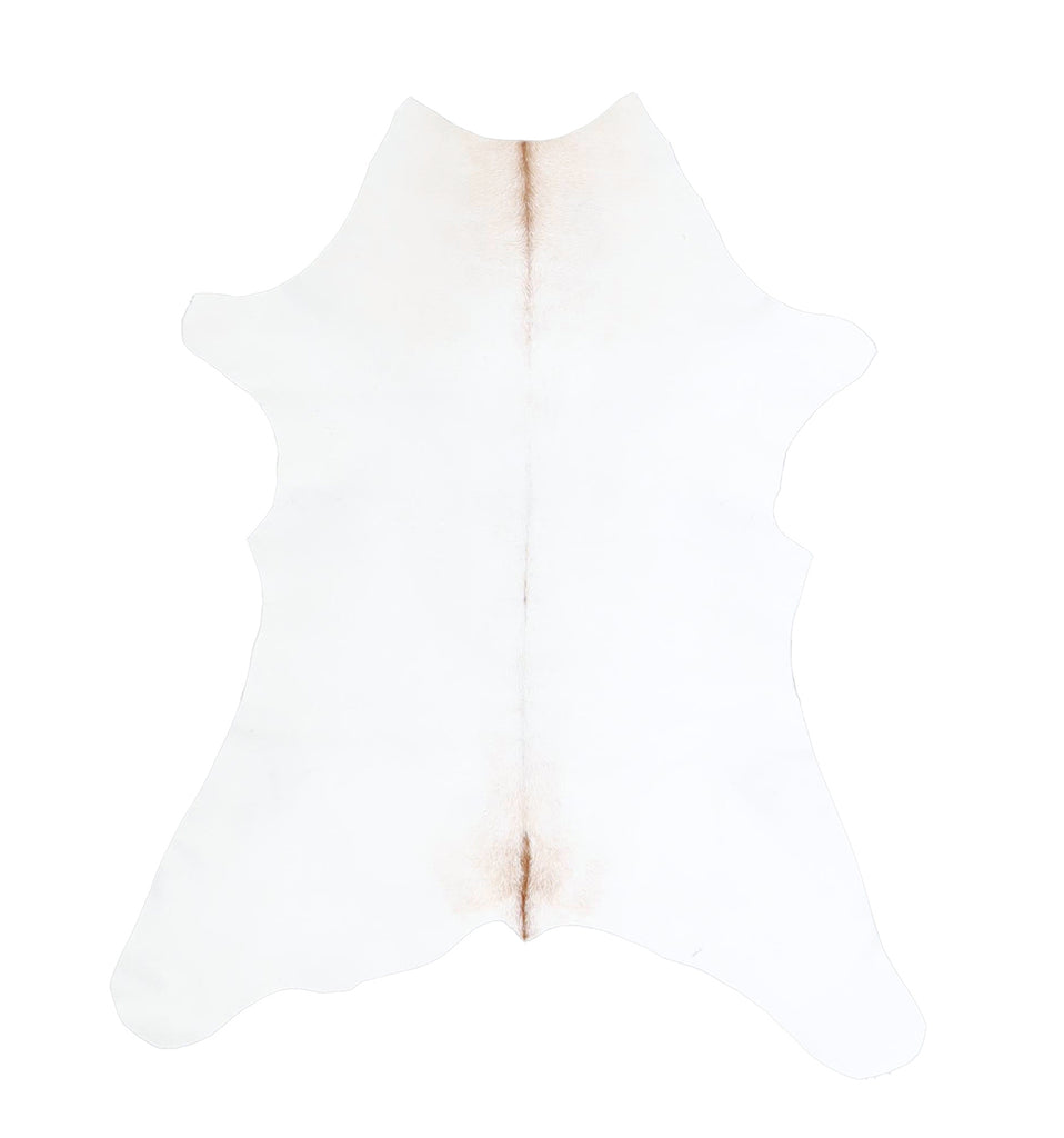 Calfhide Approx 2'x3' #A42561 by Hudson Hides