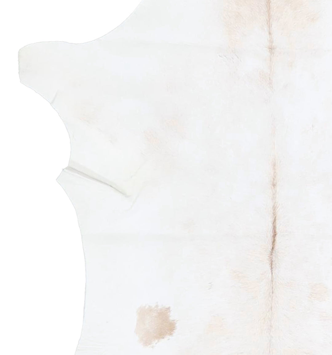 Calfhide Approx 2'x3' #A42563 by Hudson Hides