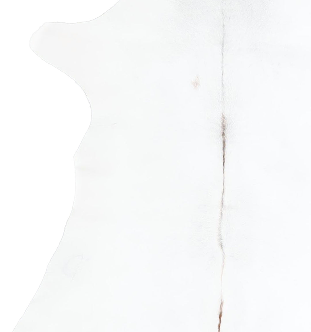 Calfhide Approx 2'x3' #A42568 by Hudson Hides
