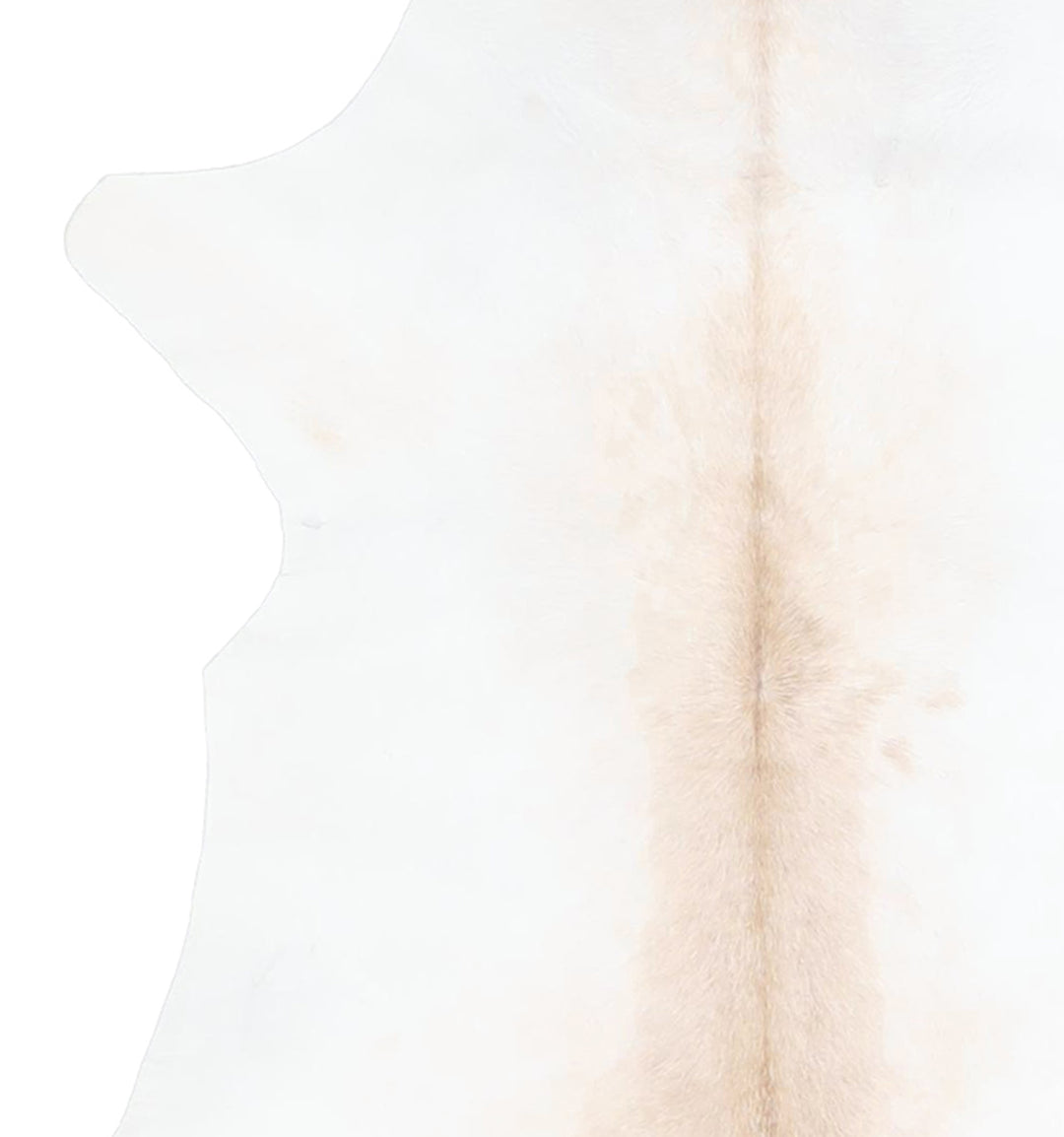Calfhide Approx 2'x3' #A42571 by Hudson Hides
