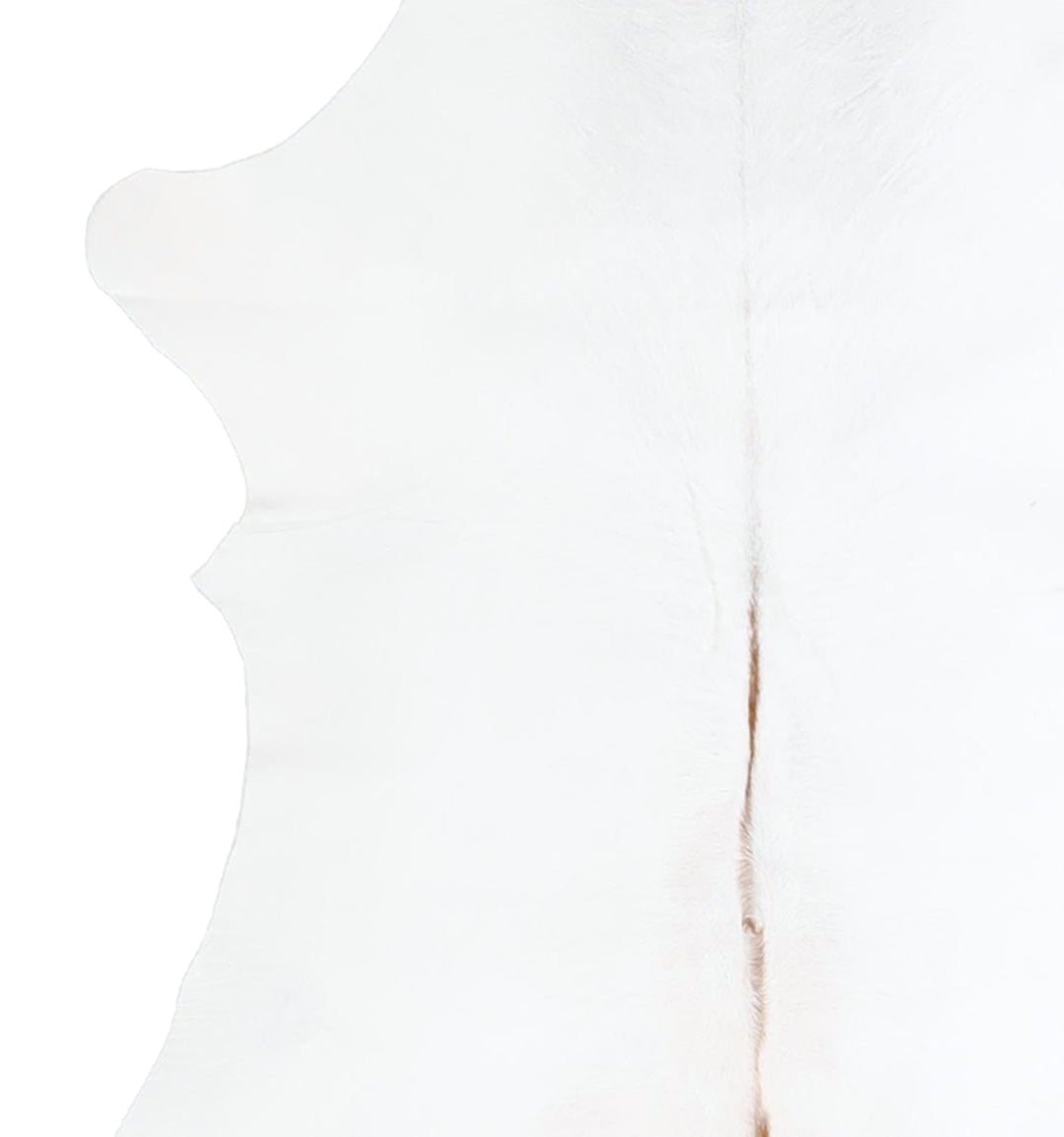 Calfhide Approx 2'x3' #A42572 by Hudson Hides