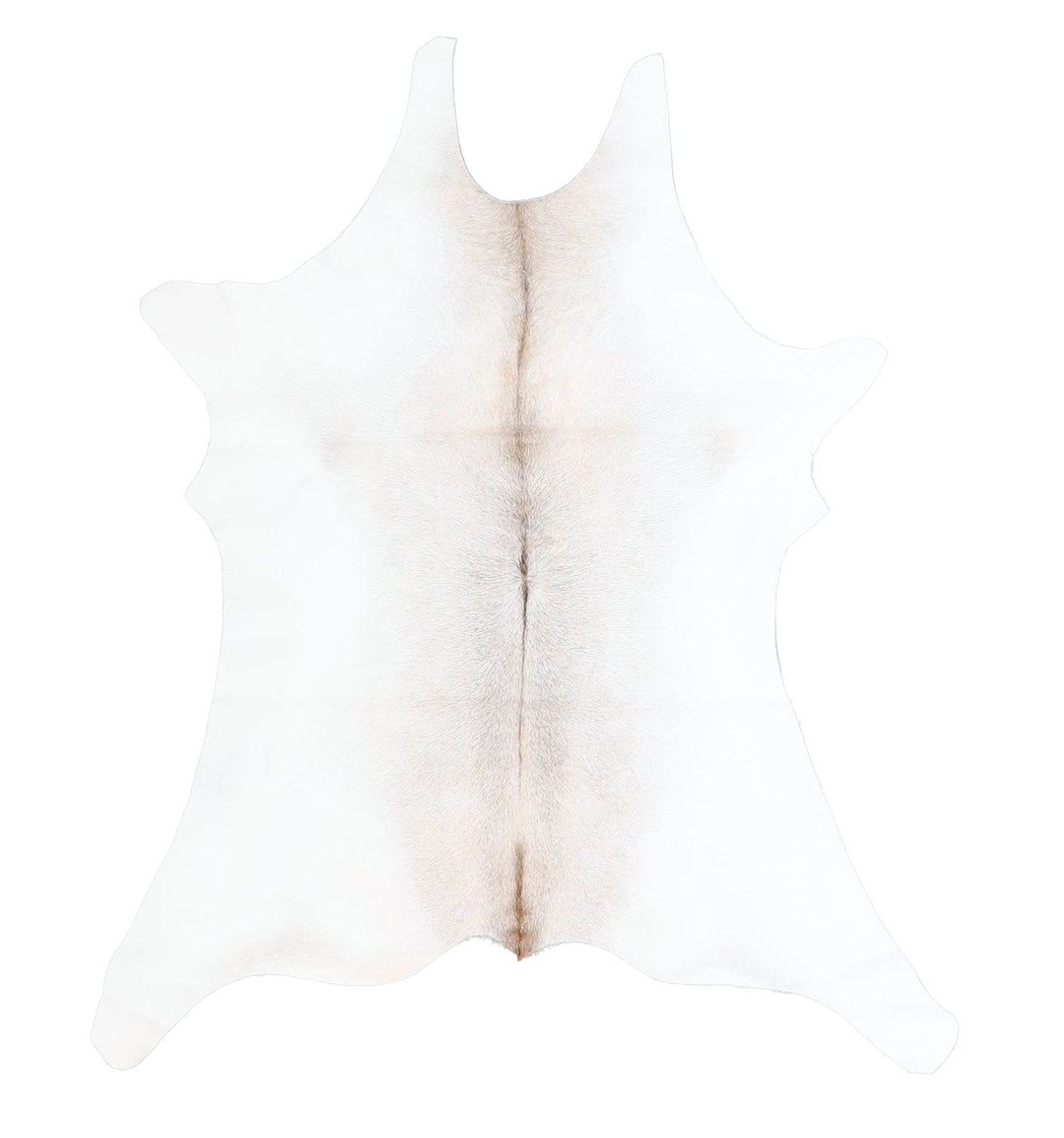Calfhide Approx 2'x3' #A42573 by Hudson Hides