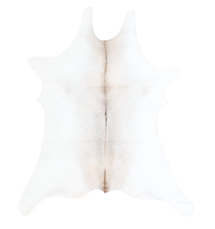 Calfhide Approx 2'x3' #A42573 by Hudson Hides