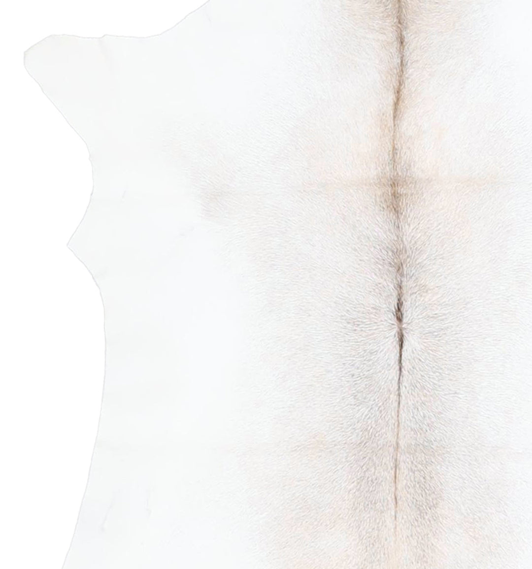 Calfhide Approx 2'x3' #A42573 by Hudson Hides
