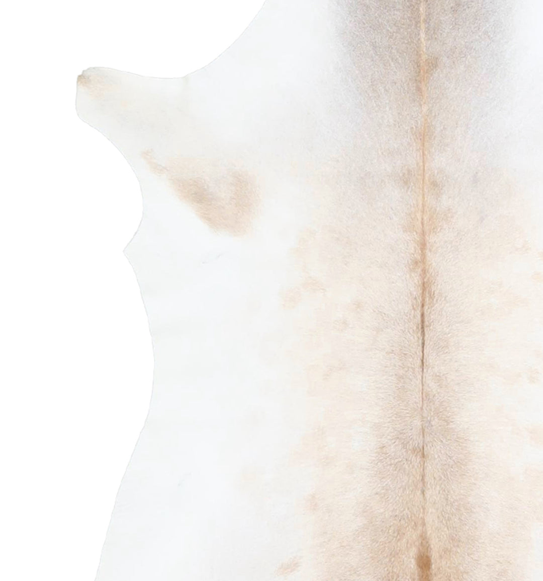 Calfhide Approx 2'x3' #A42576 by Hudson Hides