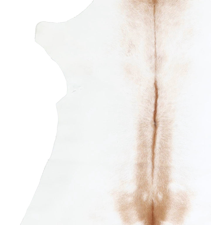Calfhide Approx 2'x3' #A42580 by Hudson Hides
