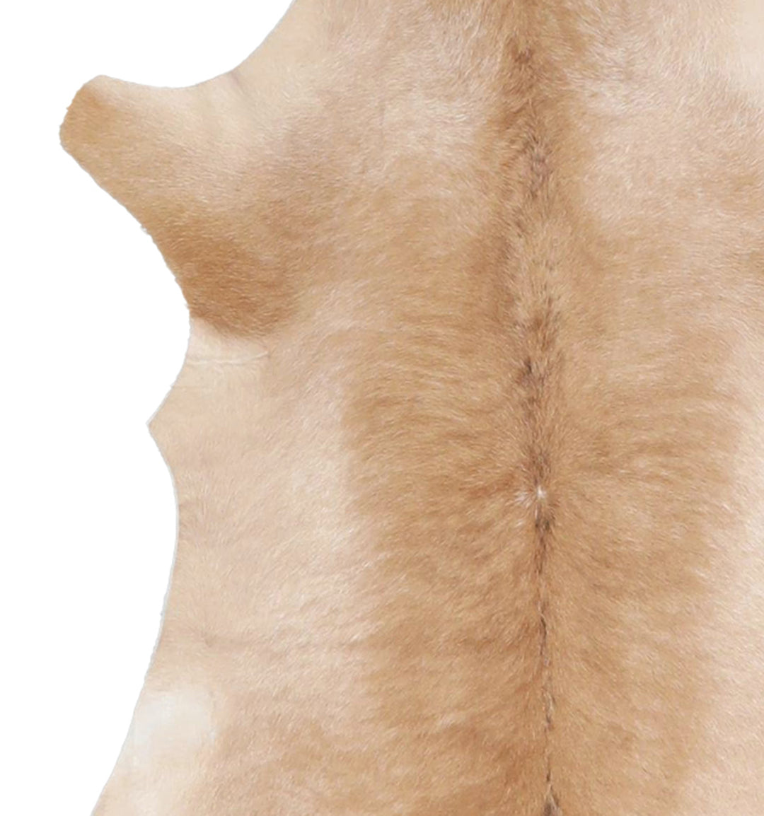 Calfhide Approx 2'x3' #A42581 by Hudson Hides