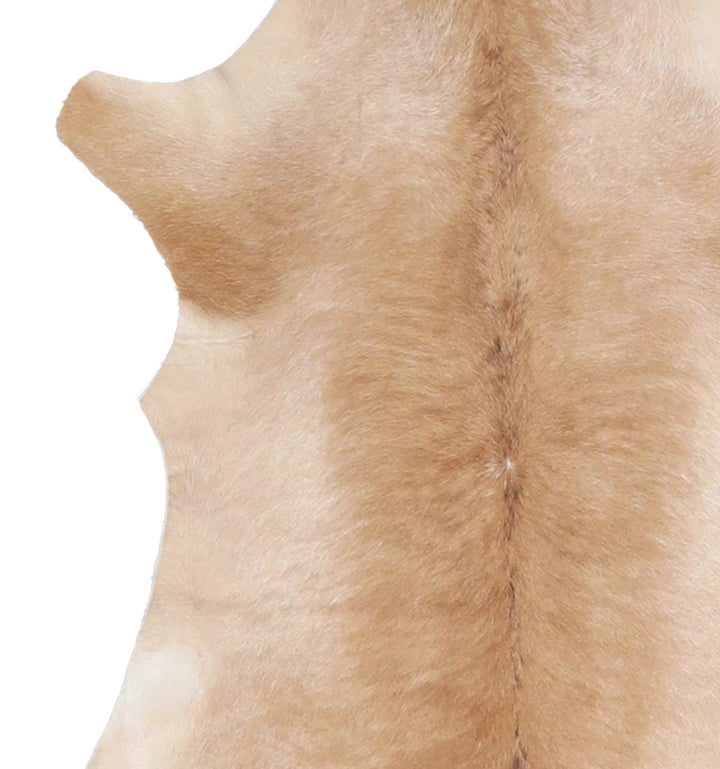 Calfhide Approx 2'x3' #A42581 by Hudson Hides