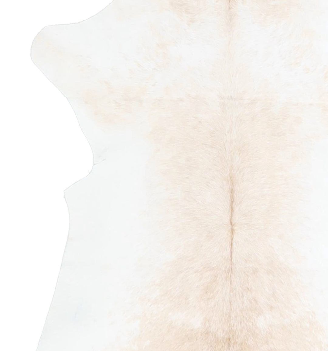 Calfhide Approx 2'x3' #A42583 by Hudson Hides