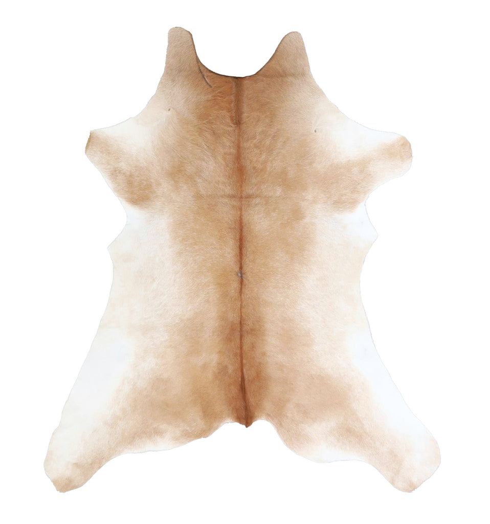 Calfhide Approx 2'x3' #A42584 by Hudson Hides
