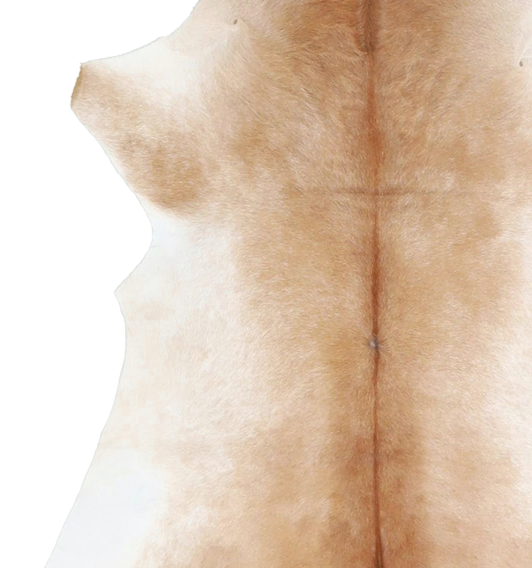 Calfhide Approx 2'x3' #A42584 by Hudson Hides