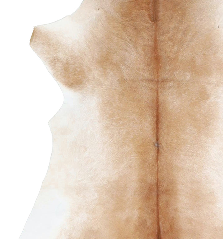 Calfhide Approx 2'x3' #A42584 by Hudson Hides