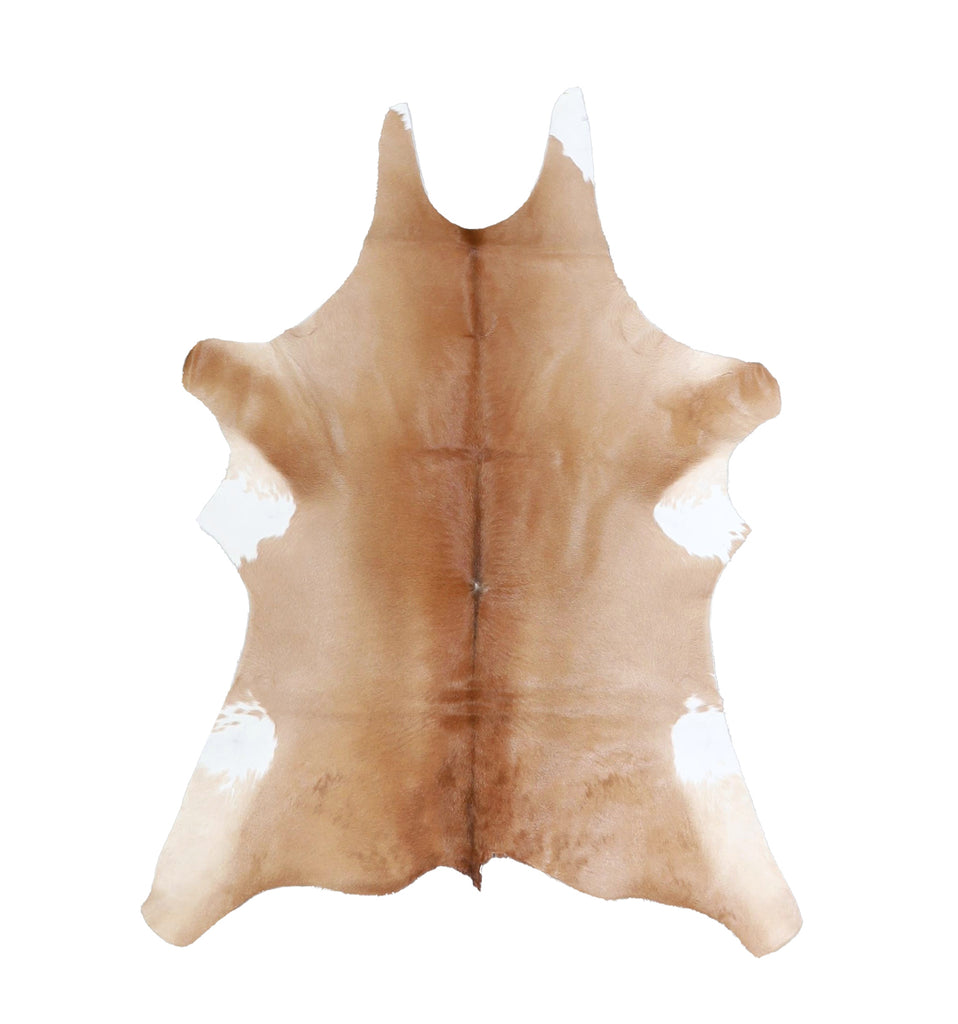 Calfhide Approx 2'x3' #A42587 by Hudson Hides