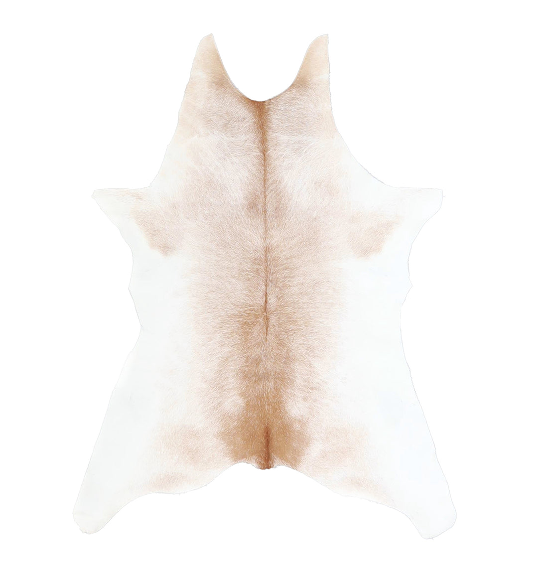 Calfhide Approx 2'x3' #A42589 by Hudson Hides