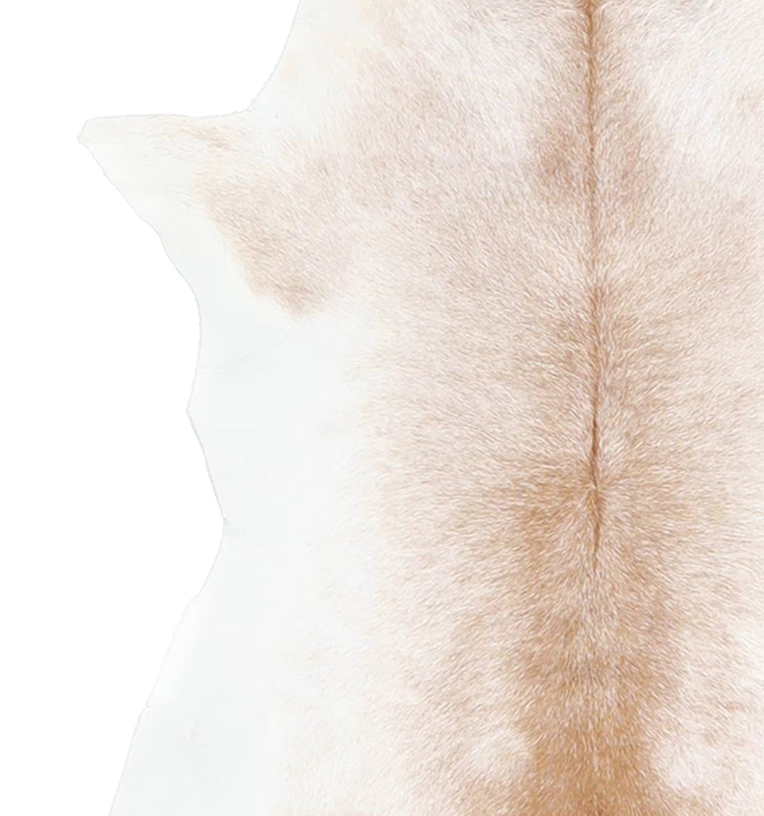 Calfhide Approx 2'x3' #A42589 by Hudson Hides
