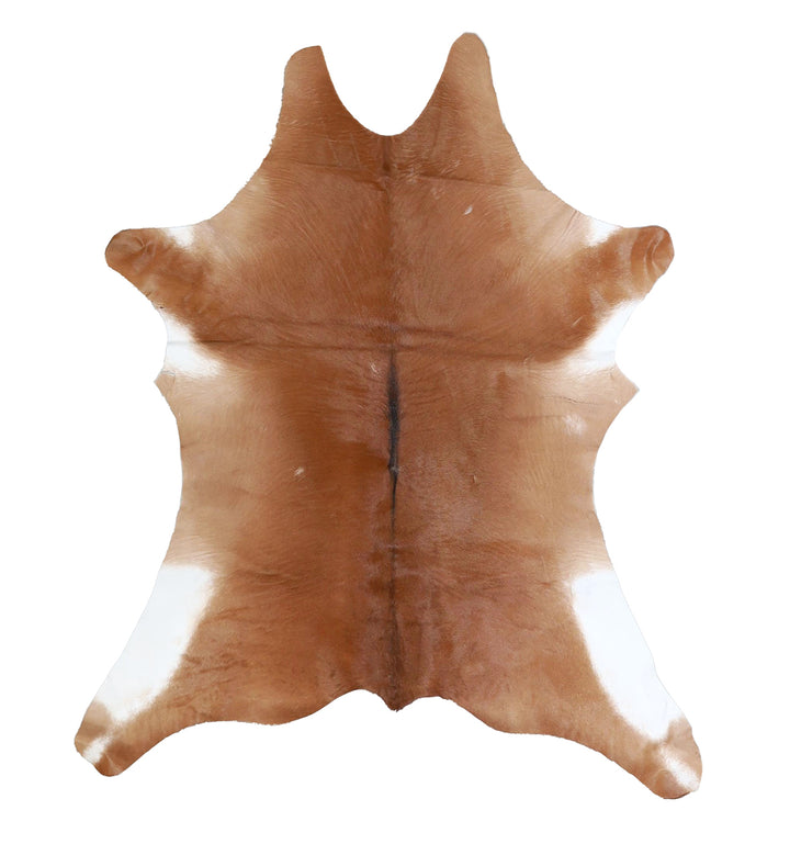 Calfhide Approx 2'x3' #A42592 by Hudson Hides