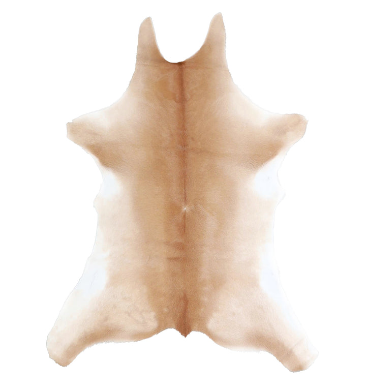 Calfhide Approx 2'x3' #A42593 by Hudson Hides