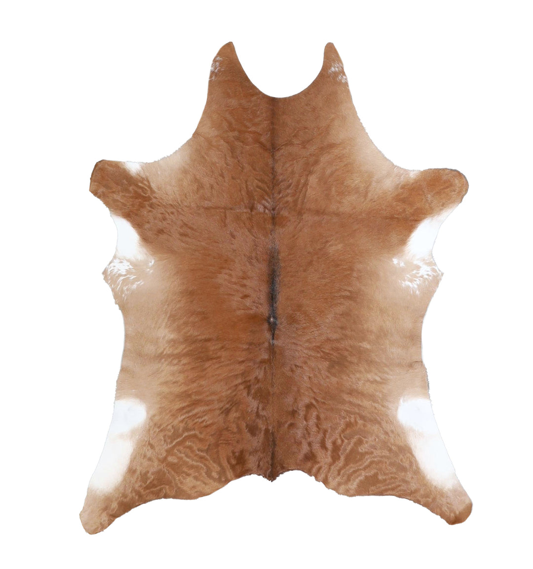 Calfhide Approx 2'x3' #A42598 by Hudson Hides