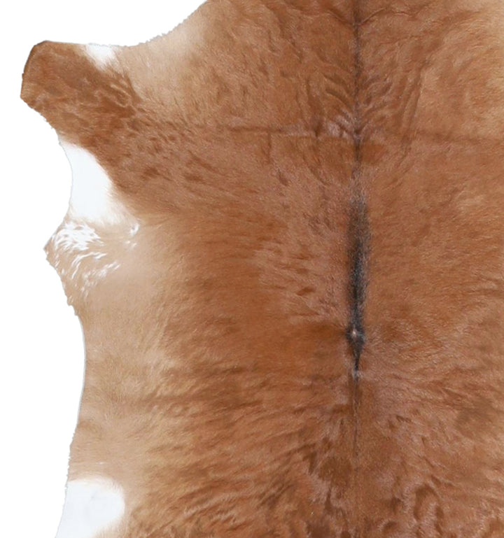 Calfhide Approx 2'x3' #A42598 by Hudson Hides
