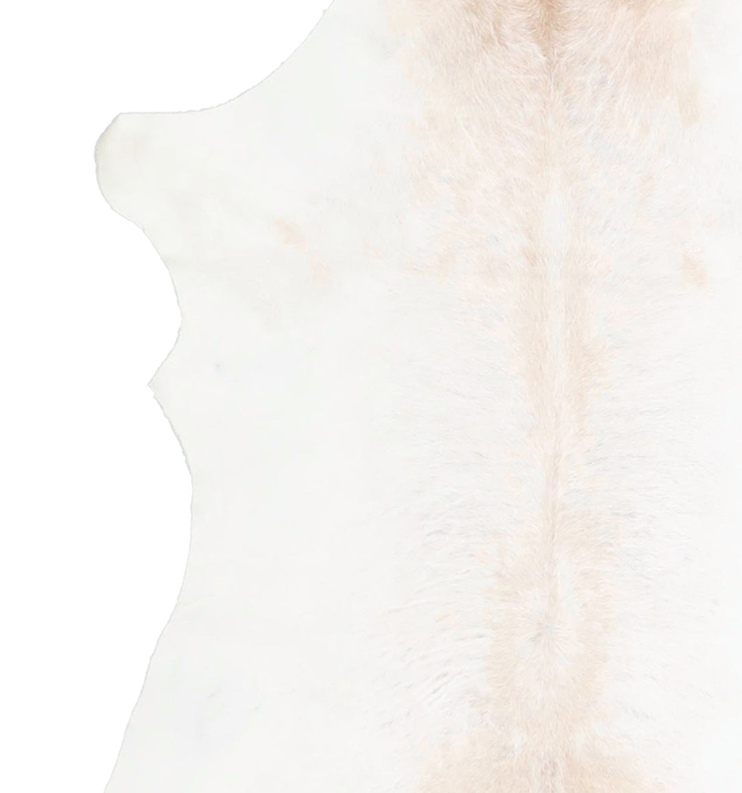 Calfhide Approx 2'x3' #A42600 by Hudson Hides