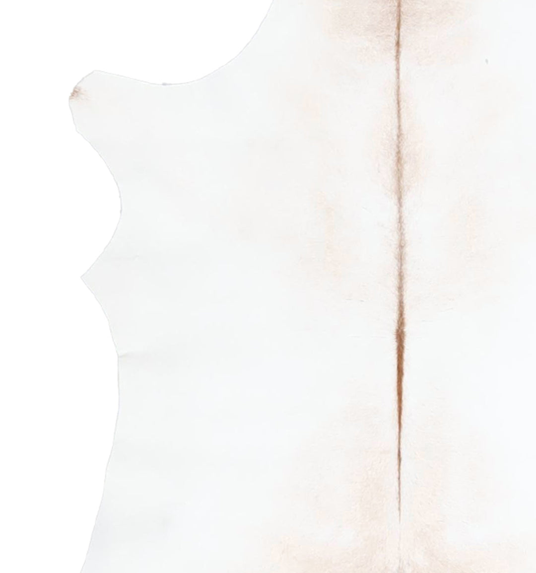 Calfhide Approx 2'x3' #A42601 by Hudson Hides