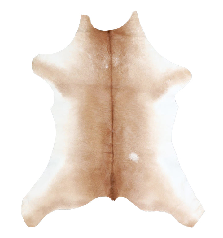 Calfhide Approx 2'x3' #A42602 by Hudson Hides