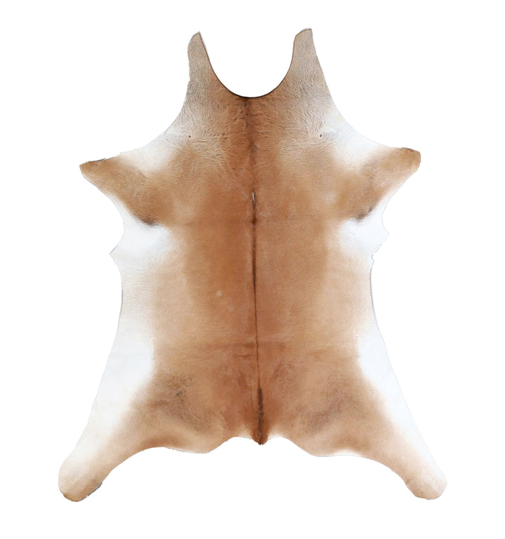 Calfhide Approx 2'x3' #A42606 by Hudson Hides
