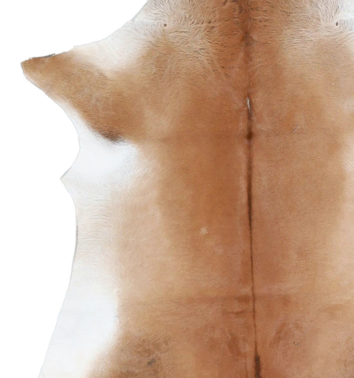 Calfhide Approx 2'x3' #A42606 by Hudson Hides