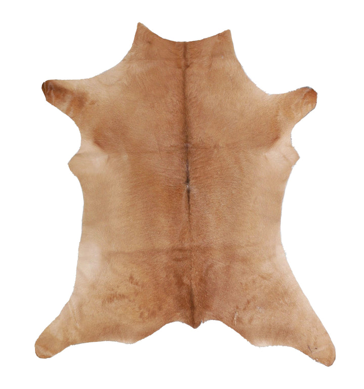 Calfhide Approx 2'x3' #A42608 by Hudson Hides
