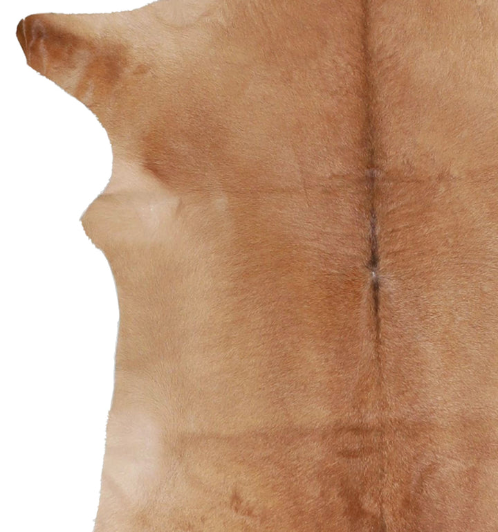 Calfhide Approx 2'x3' #A42608 by Hudson Hides
