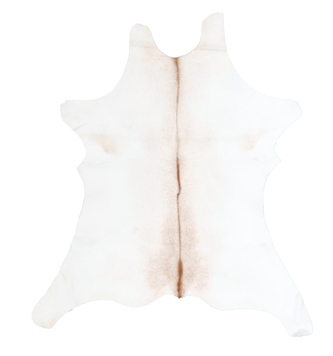 Calfhide Approx 2'x3' #A42611 by Hudson Hides