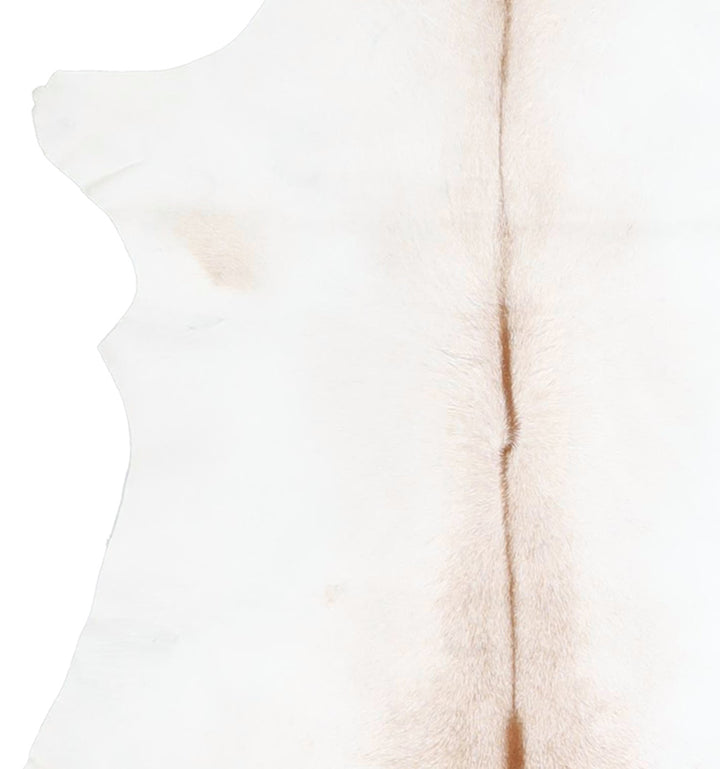 Calfhide Approx 2'x3' #A42611 by Hudson Hides
