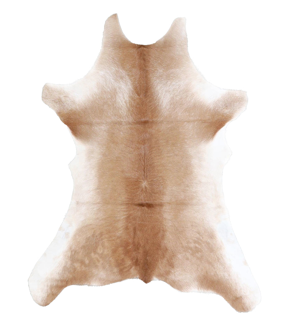 Calfhide Approx 2'x3' #A42613 by Hudson Hides
