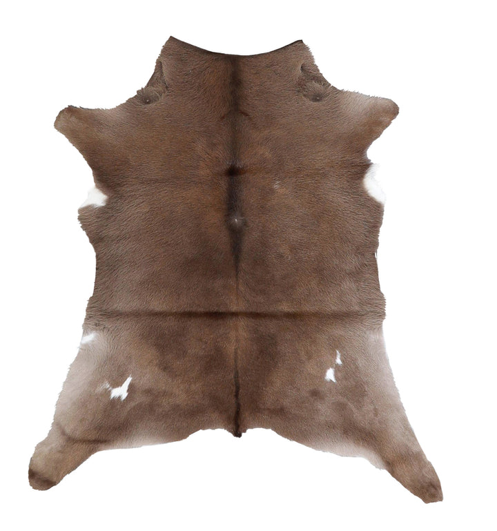 Calfhide Approx 2'x3' #A42615 by Hudson Hides