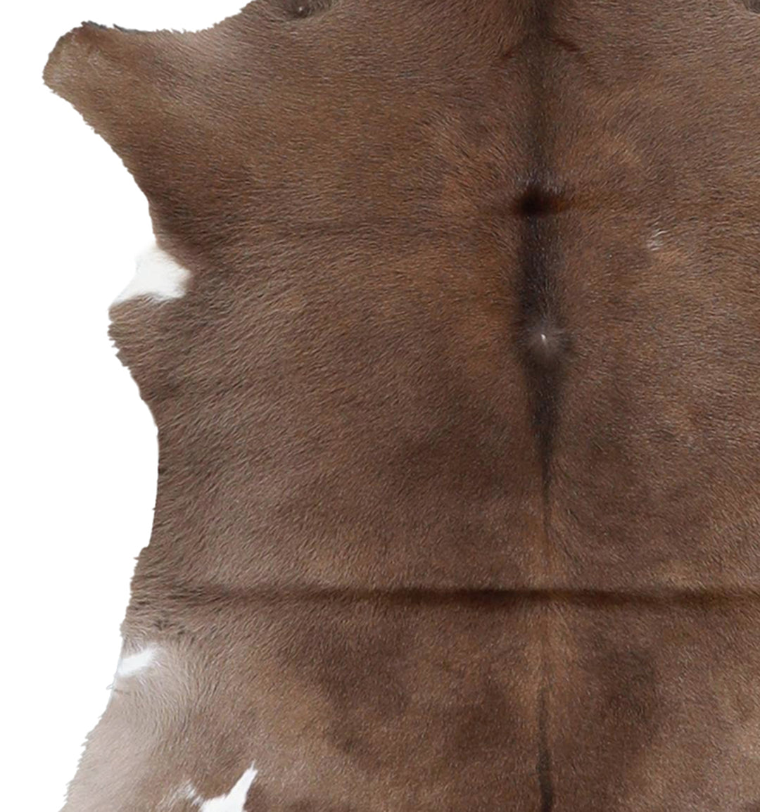 Calfhide Approx 2'x3' #A42615 by Hudson Hides