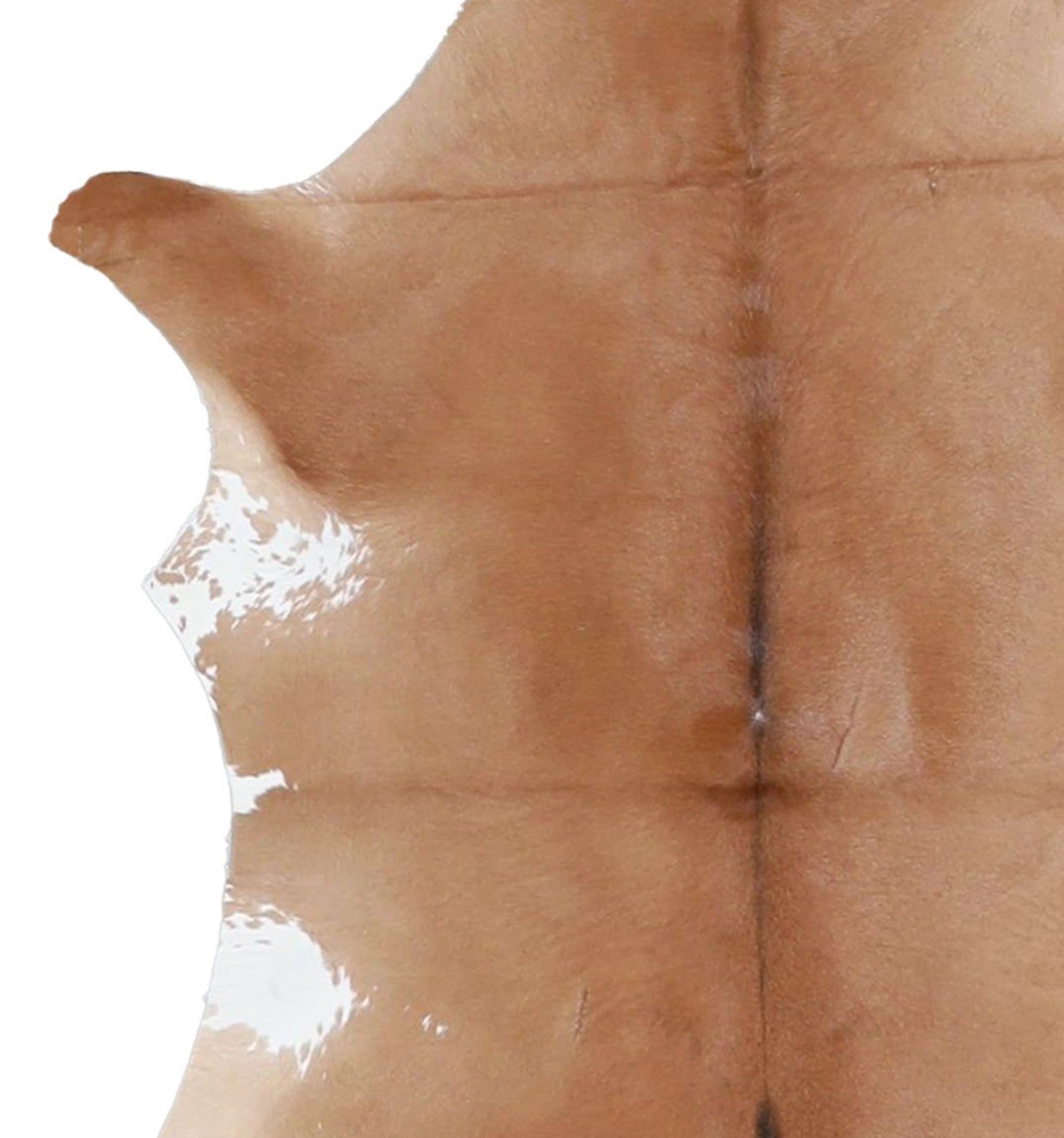 Calfhide Approx 2'x3' #A42616 by Hudson Hides