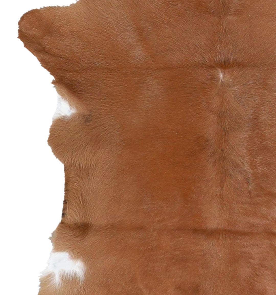 Calfhide Approx 2'x3' #A42617 by Hudson Hides