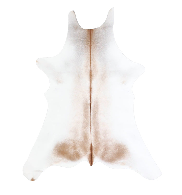 Calfhide Approx 2'x3' #A42618 by Hudson Hides