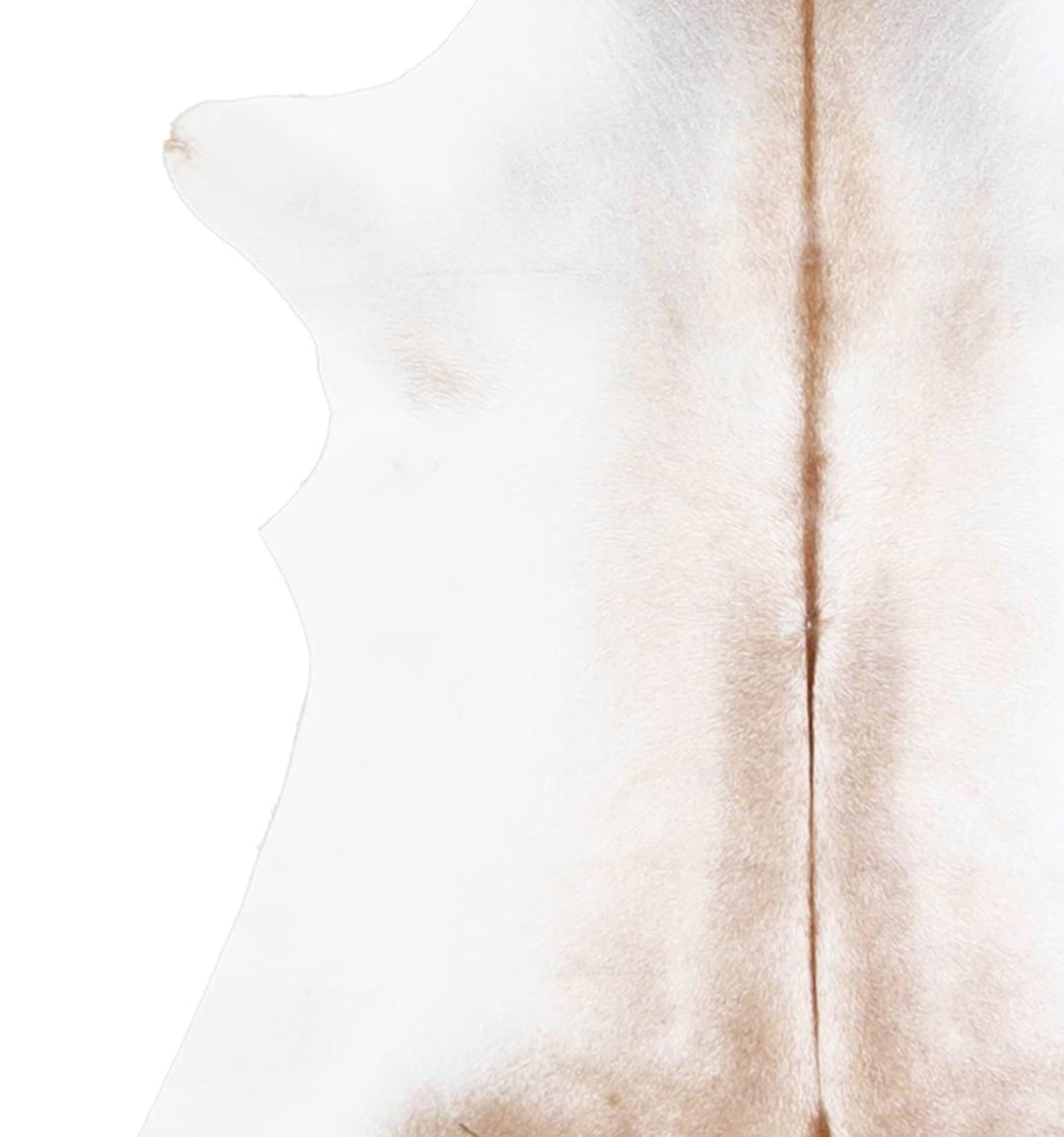 Calfhide Approx 2'x3' #A42618 by Hudson Hides