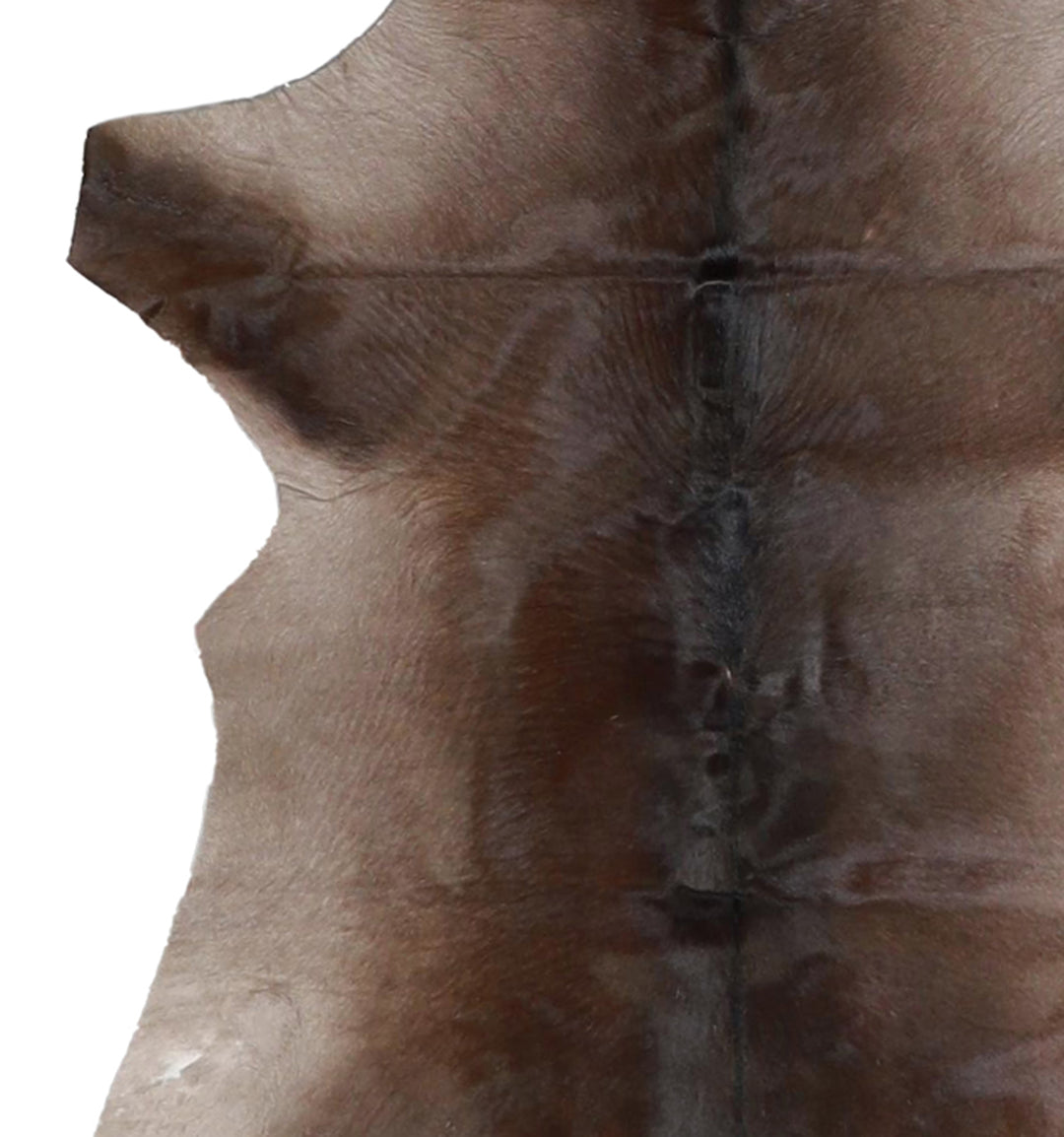 Calfhide Approx 2'x3' #A42620 by Hudson Hides