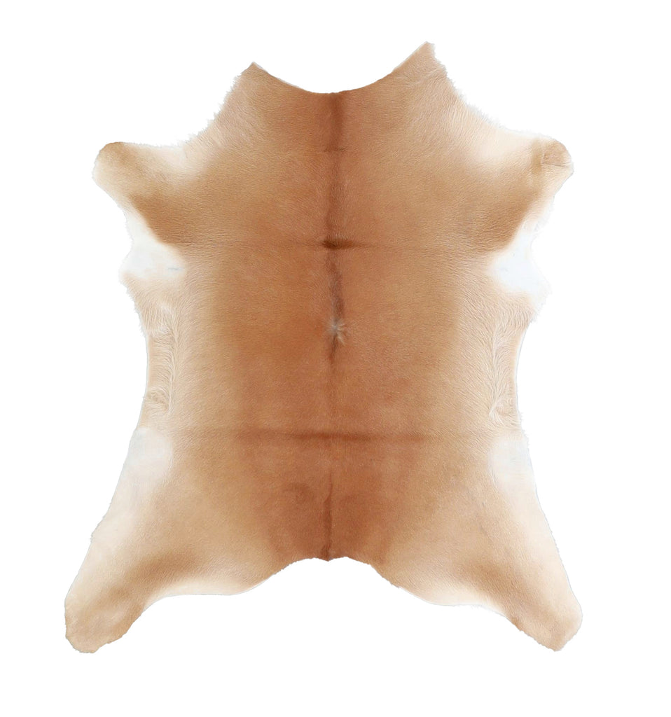 Calfhide Approx 2'x3' #A42625 by Hudson Hides