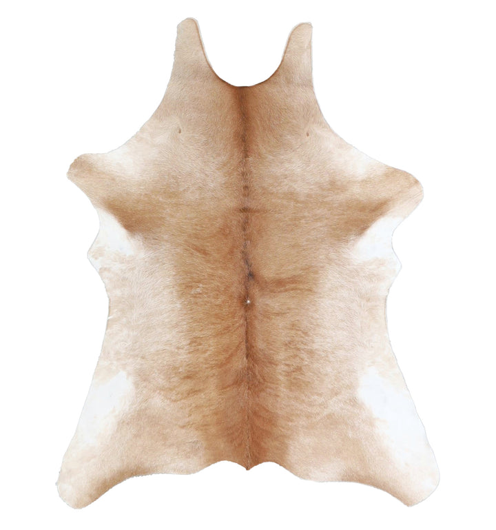 Calfhide Approx 2'x3' #A42628 by Hudson Hides